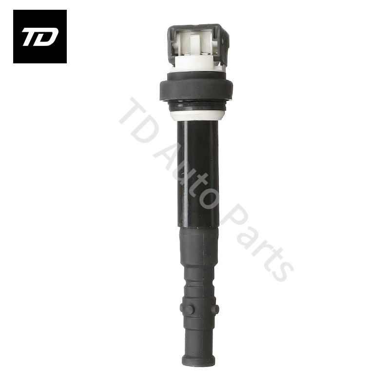 10 PCS Ignition Coil for BMW M5 2006-2010 M6 2006-2010 5.0L