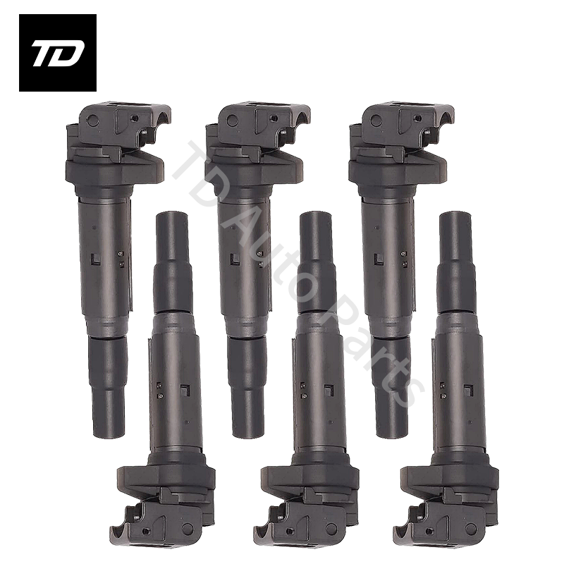 6 PCS Ignition Coil 12138657273 for BMW 135i 335i 335is 335xi 535i 535xi 740i 740Li X6 Z4 07-14 3.0L