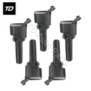 5 PCS Ignition Coil 12496574 12612369 for Chevrolet Trailblazer 2006-2009 Trailblazer EXT 2006 GMC Envoy 2006-2009 XL 2006